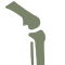 A grey icon of the bones forming a knee joint.