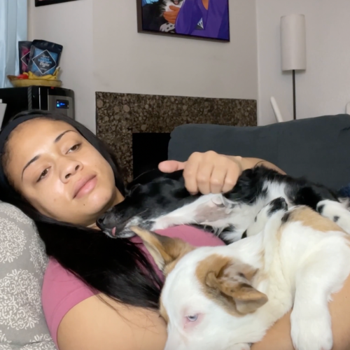 Person lying on a couch with two dogs resting on them.