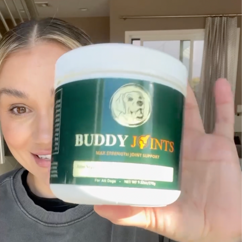 Person holding a container labeled 'Buddy Joints' with a dog illustration.