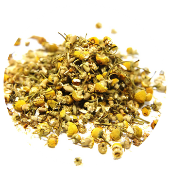 A pile of dried chamomile flowers and stems on a white background.