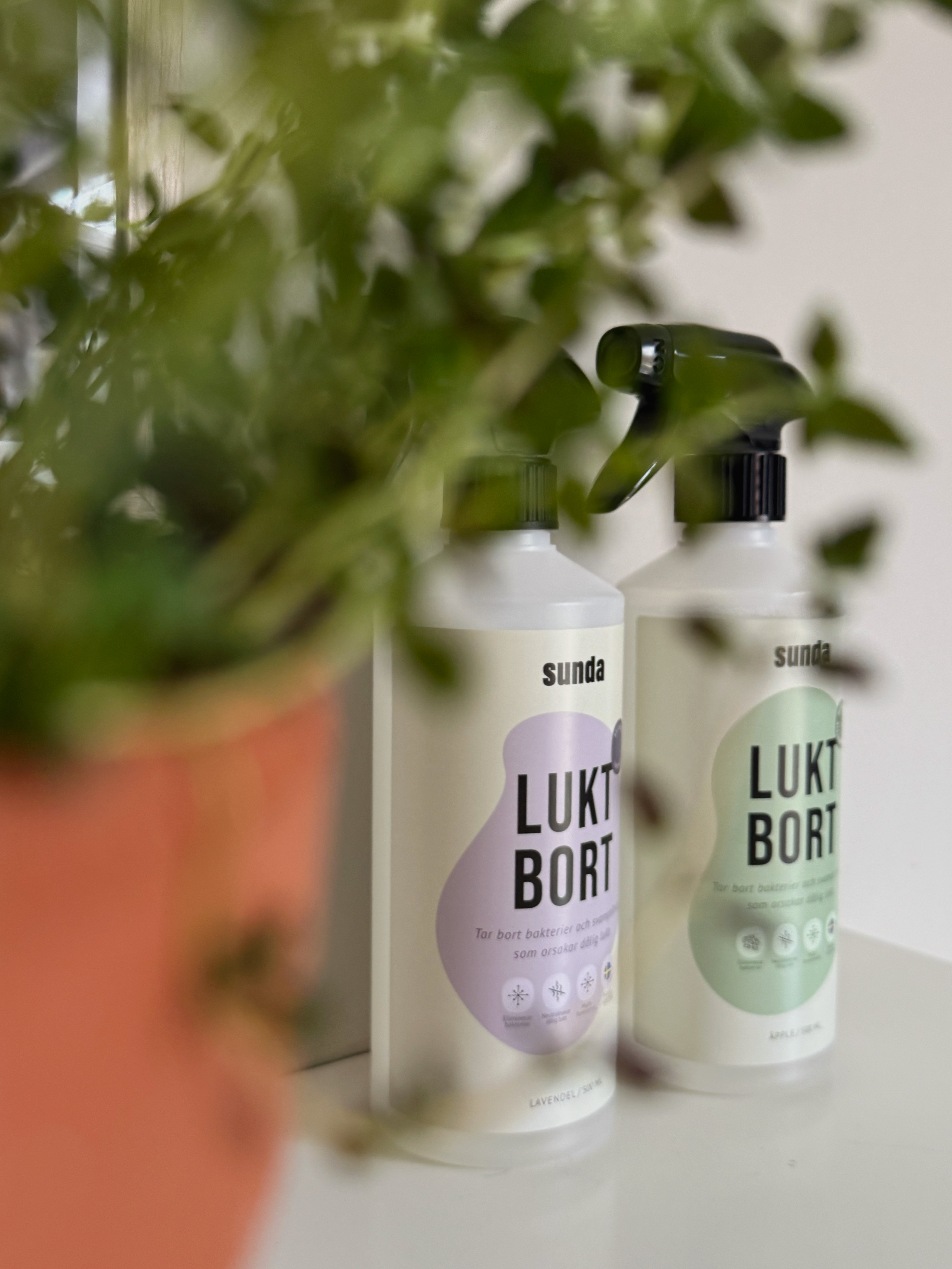 Two cleaning spray bottles partially obscured by green plant leaves.
