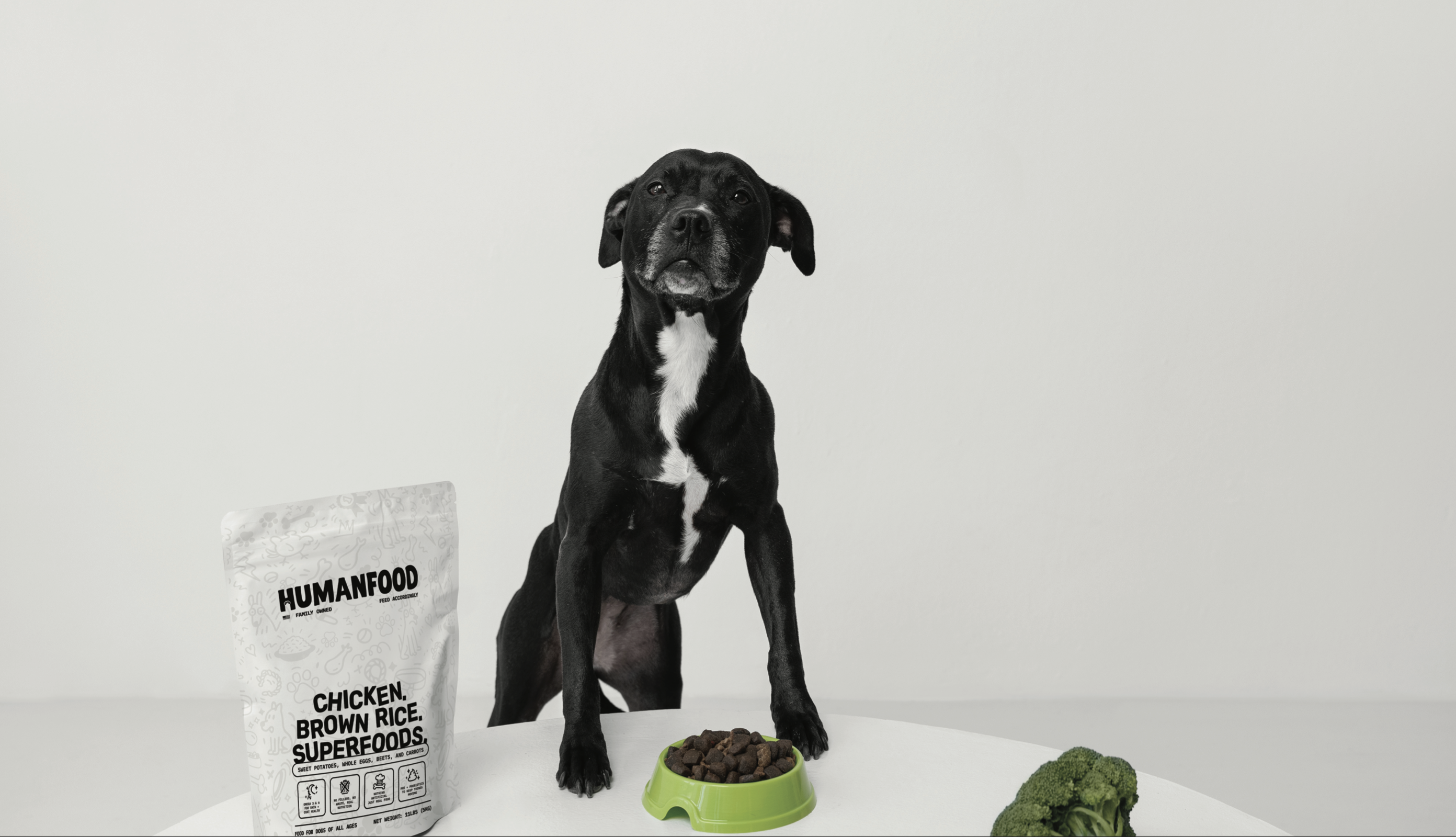 Black dog with food bowl, broccoli, and pet food package on table.