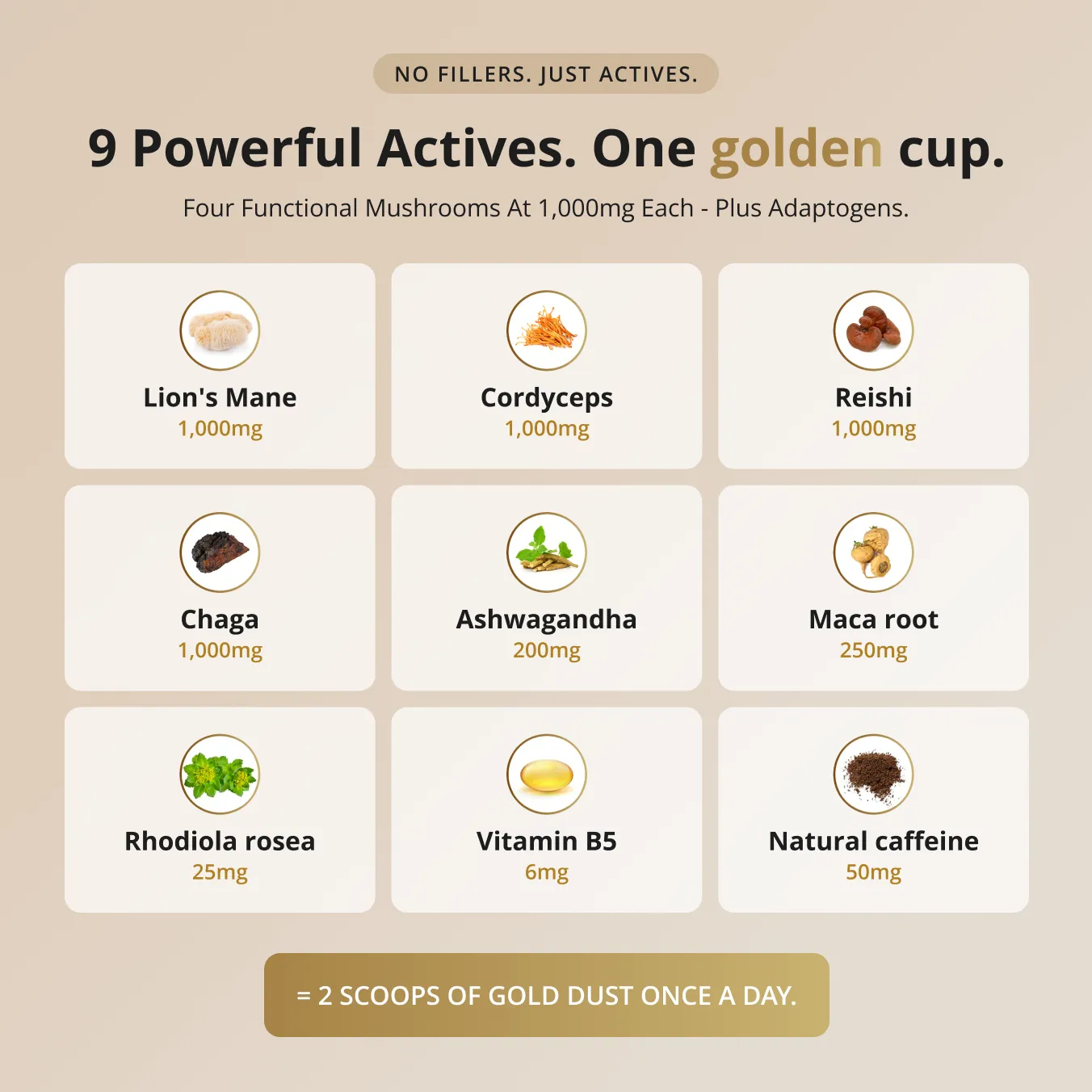 Infographic detailing nine active supplement ingredients, like mushrooms and adaptogens, with their respective dosages.