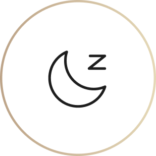 An icon of a crescent moon and the letter Z inside a thin circular frame.