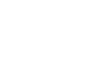 White outline of a brain on a black background.