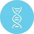 A white icon of a DNA double helix strand inside a light blue circle.