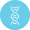 A white icon of a DNA double helix strand inside a light blue circle.