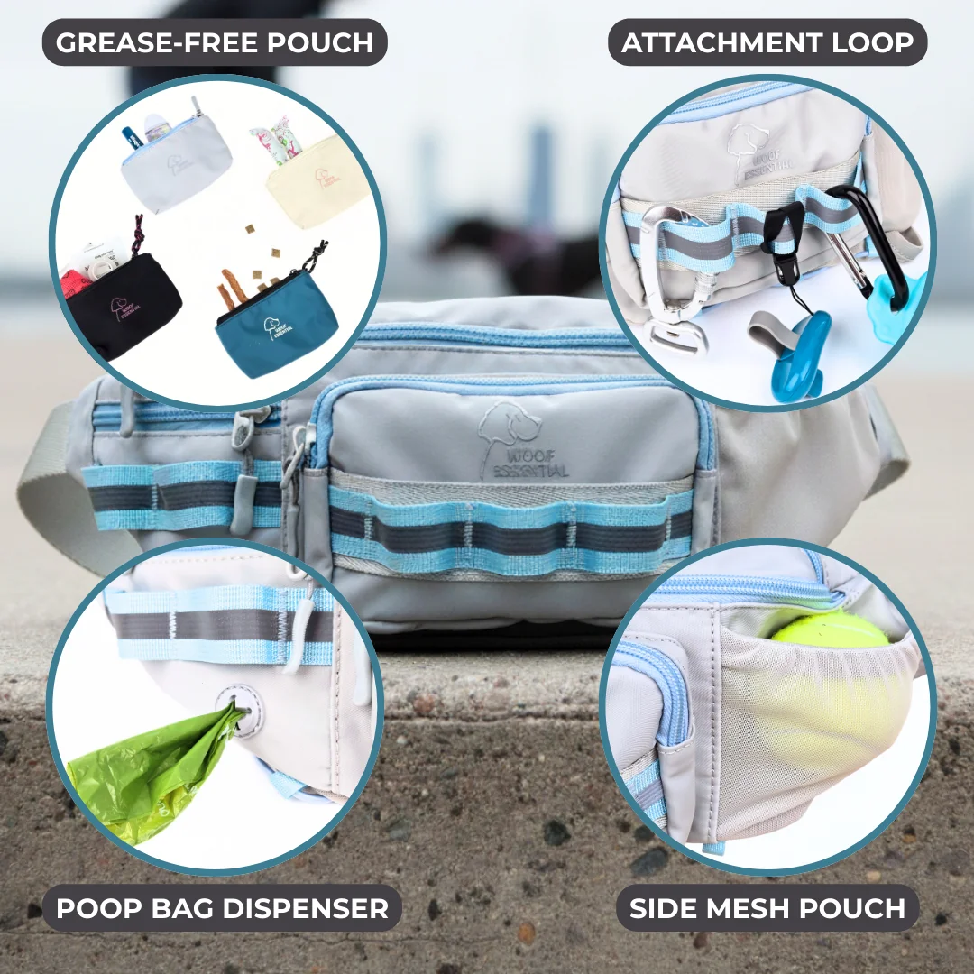 Dog walking belt with pockets, poop bag dispenser, and attachment loop.