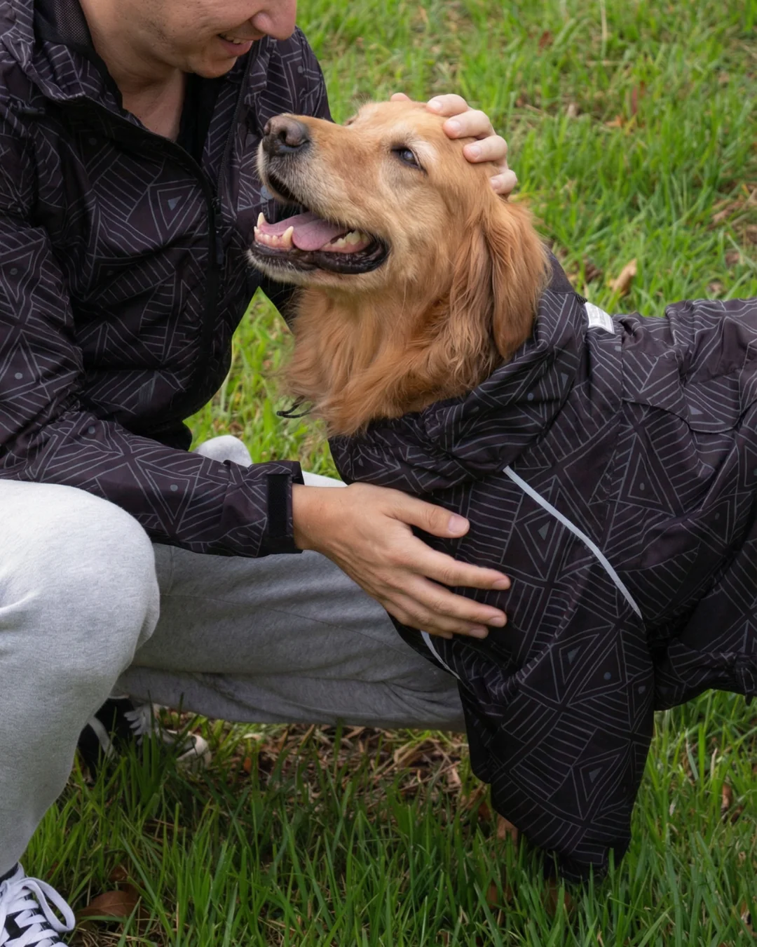 A person pets a golden retriever, both wearing matching black patterned jackets on a grassy lawn.