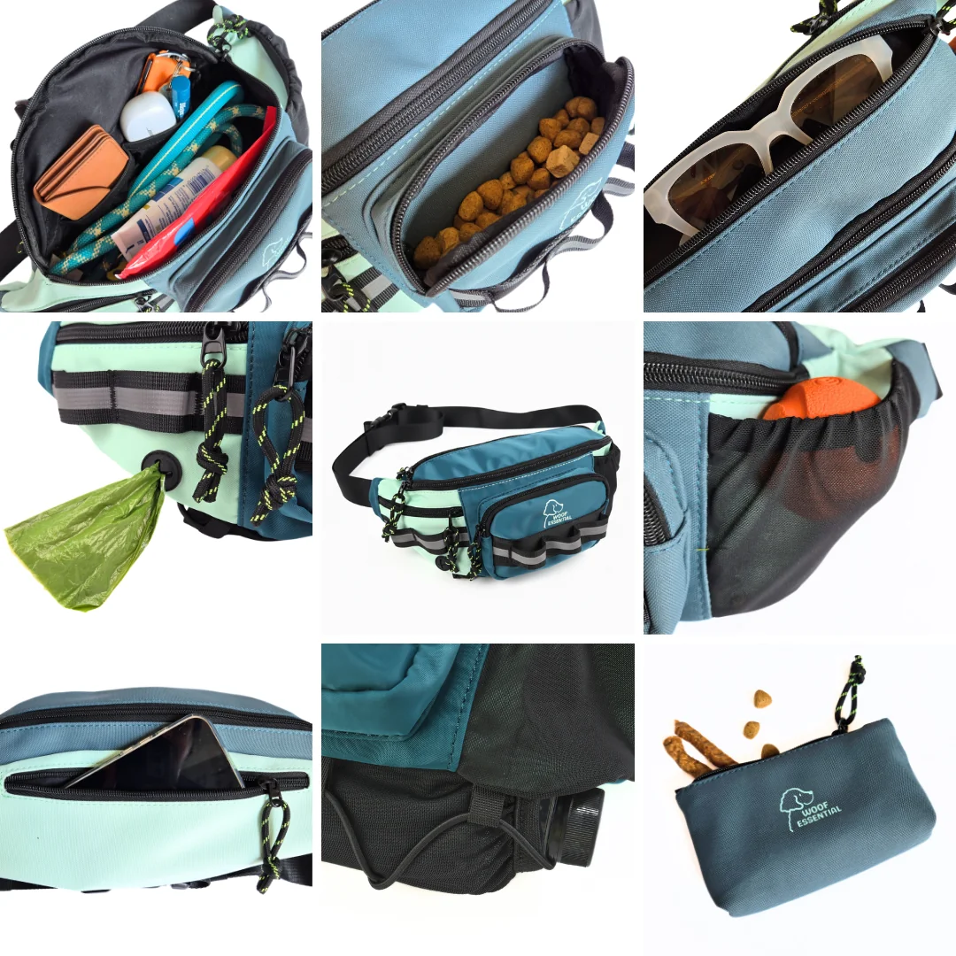 Various pockets of a pet travel bag holding dog treats, toys, and accessories.