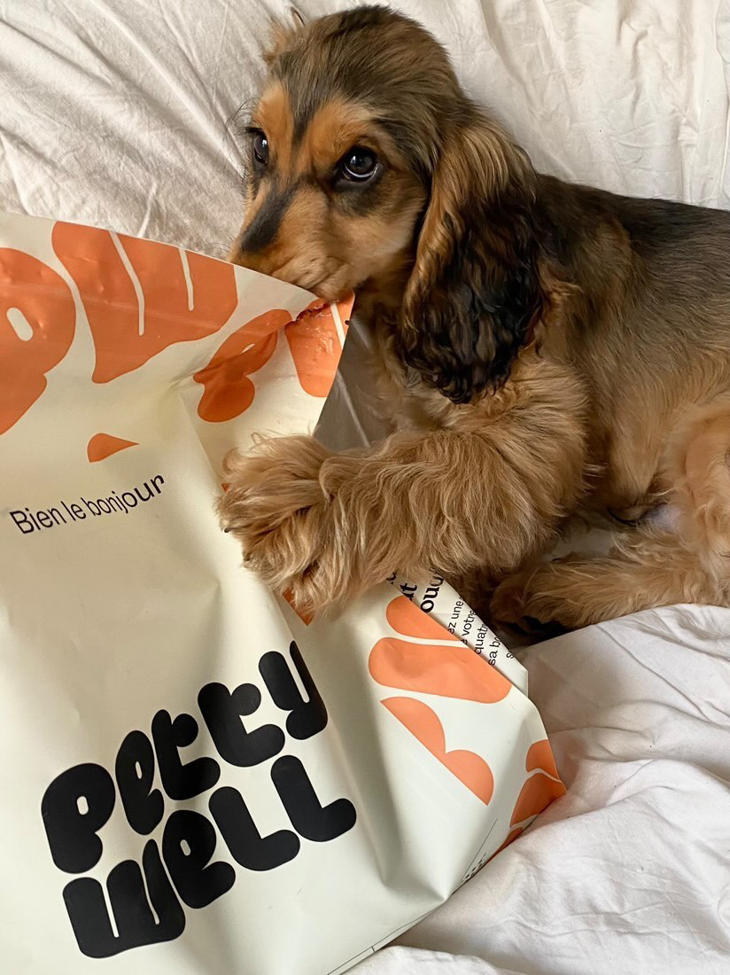 Dog lying on a bed chewing a bag labeled 'Petty Well'.