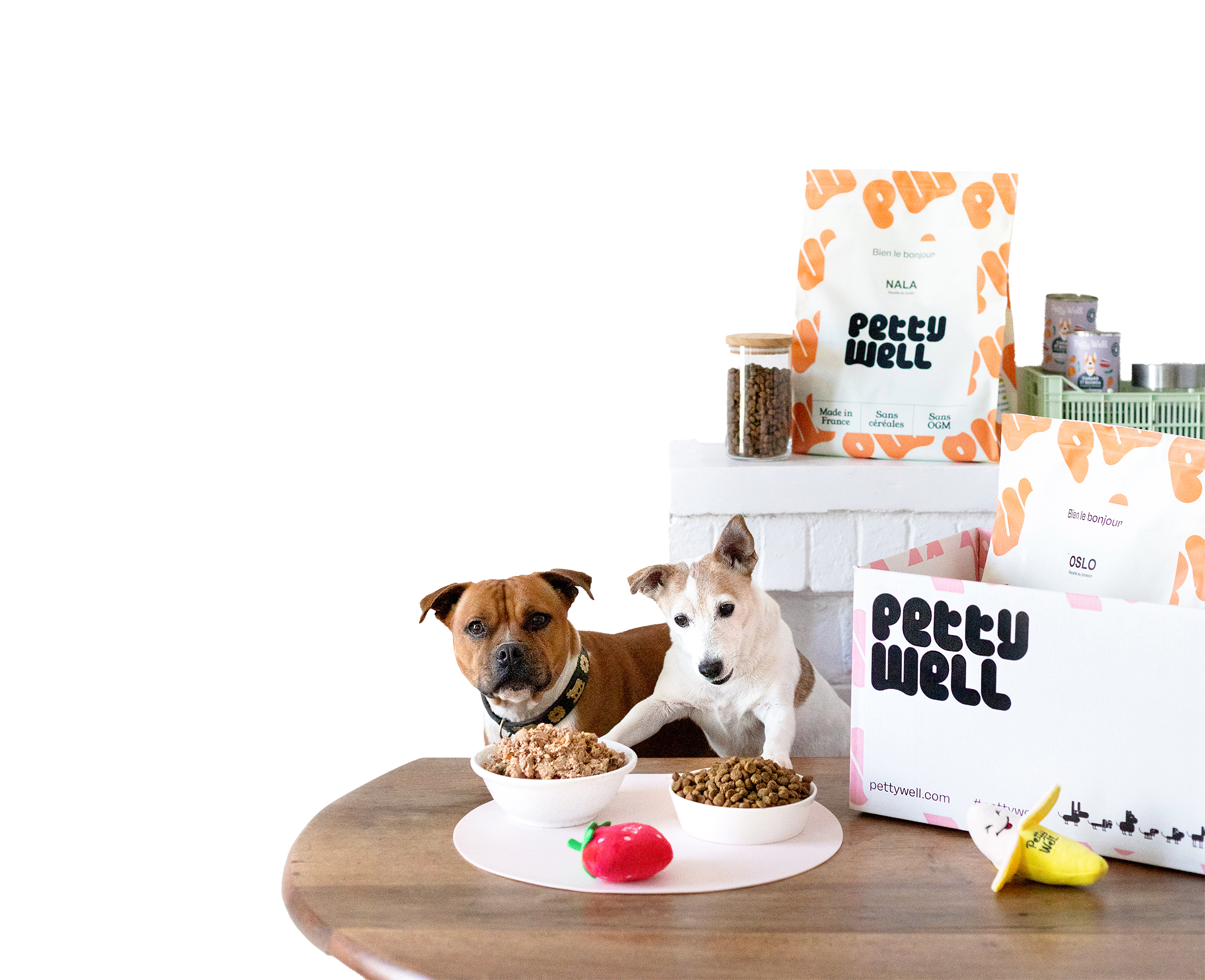 Croquettes pour chien sans céréales