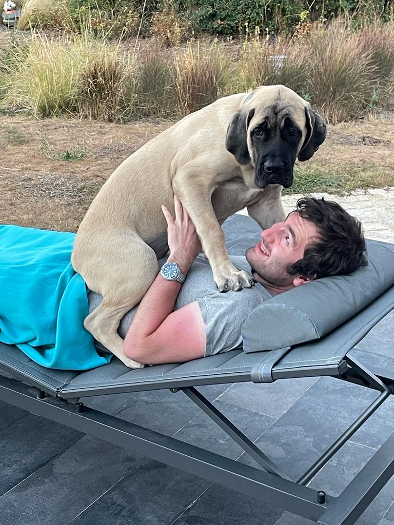 A large, tan puppy with a black muzzle sits on a man's chest on a lounge chair.