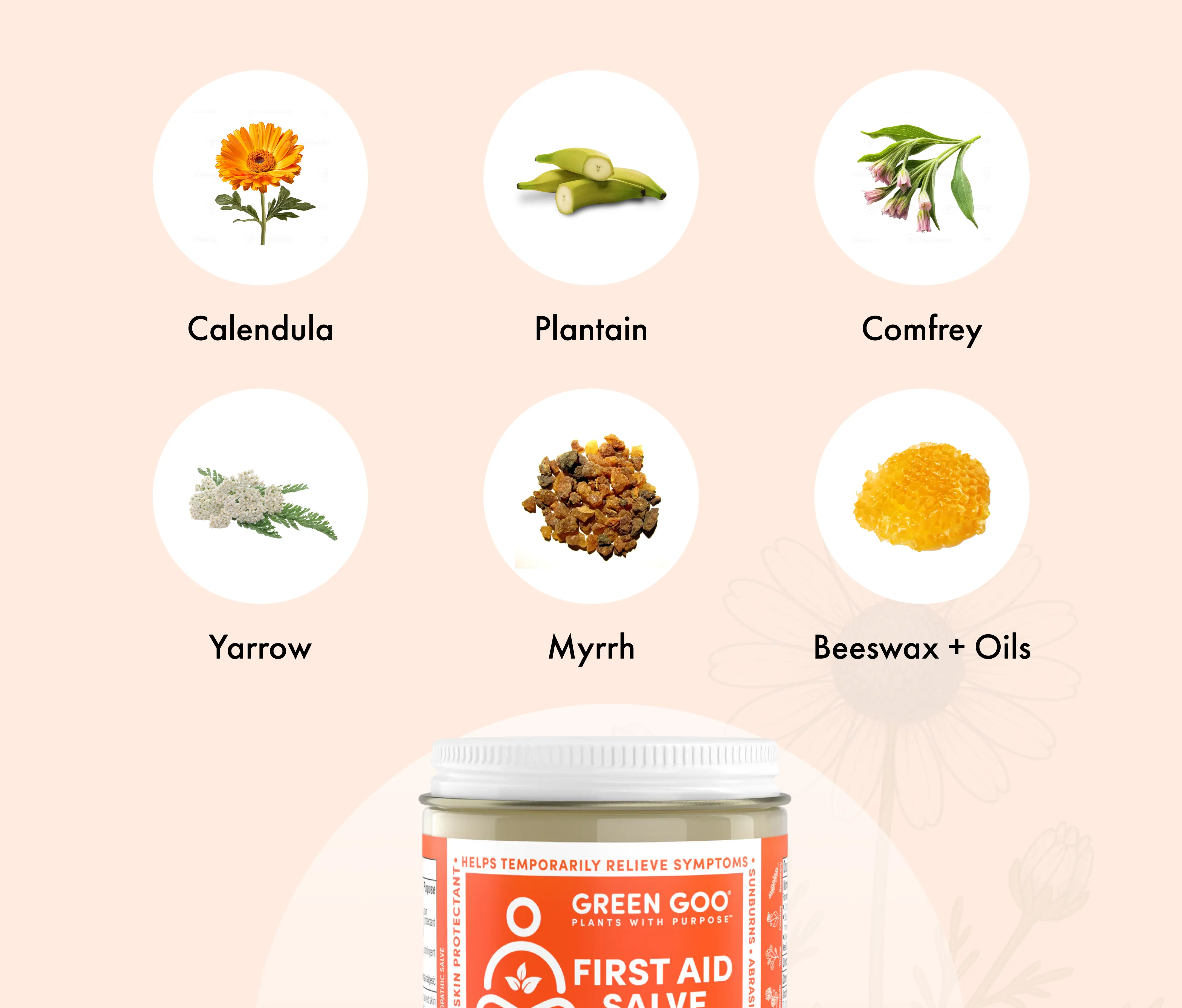 Image showing six herbal ingredients with names: calendula, plantain, comfrey, yarrow, myrrh, beeswax + oils.