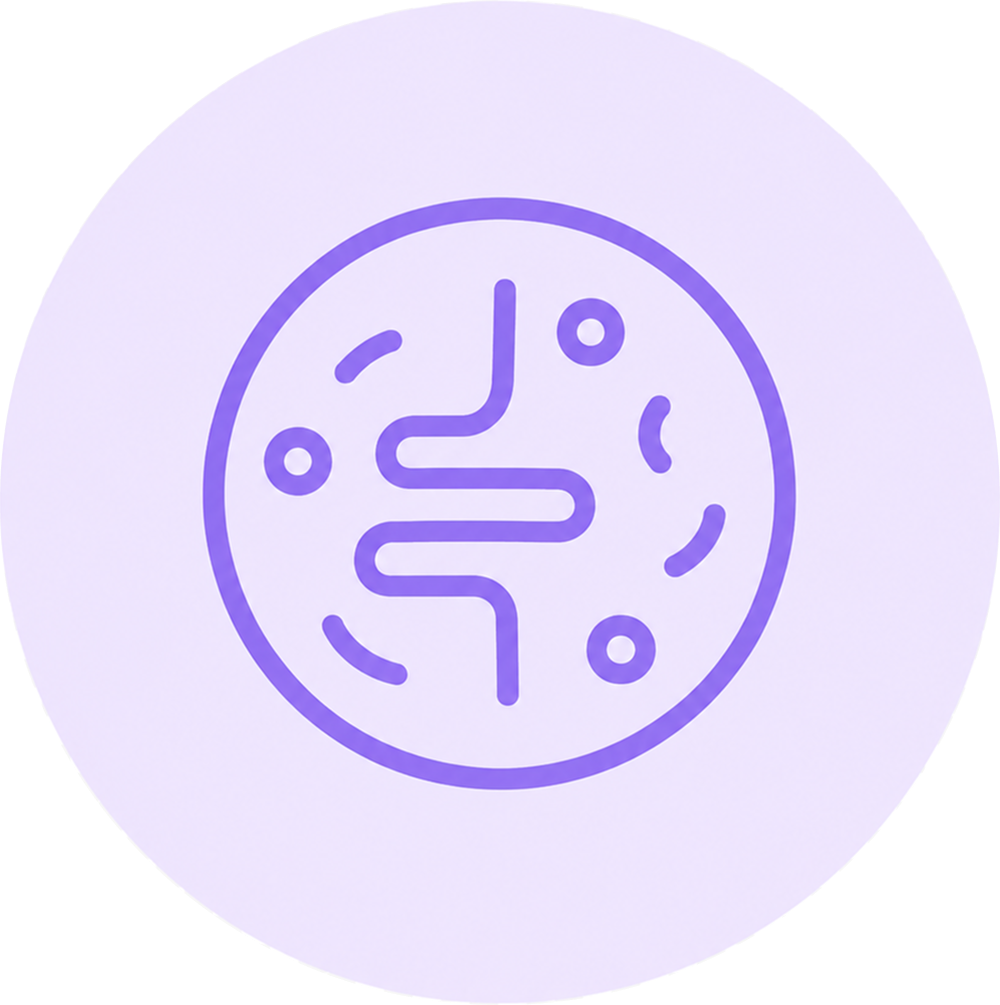 A purple line icon of a stylized intestine inside a circle, representing gut health or digestion.