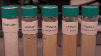 Five labeled test tubes with green caps and various powders inside.