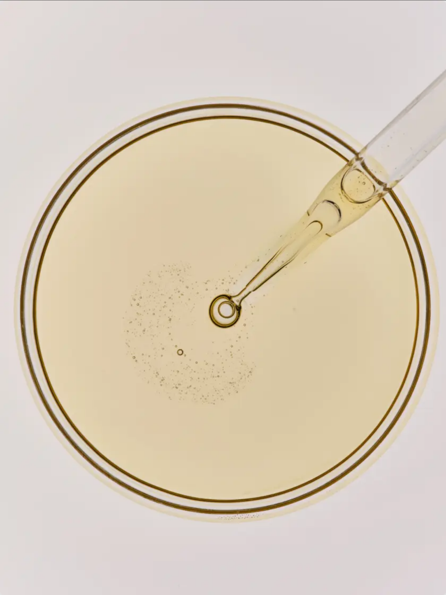 Pipette inserting liquid into a petri dish.