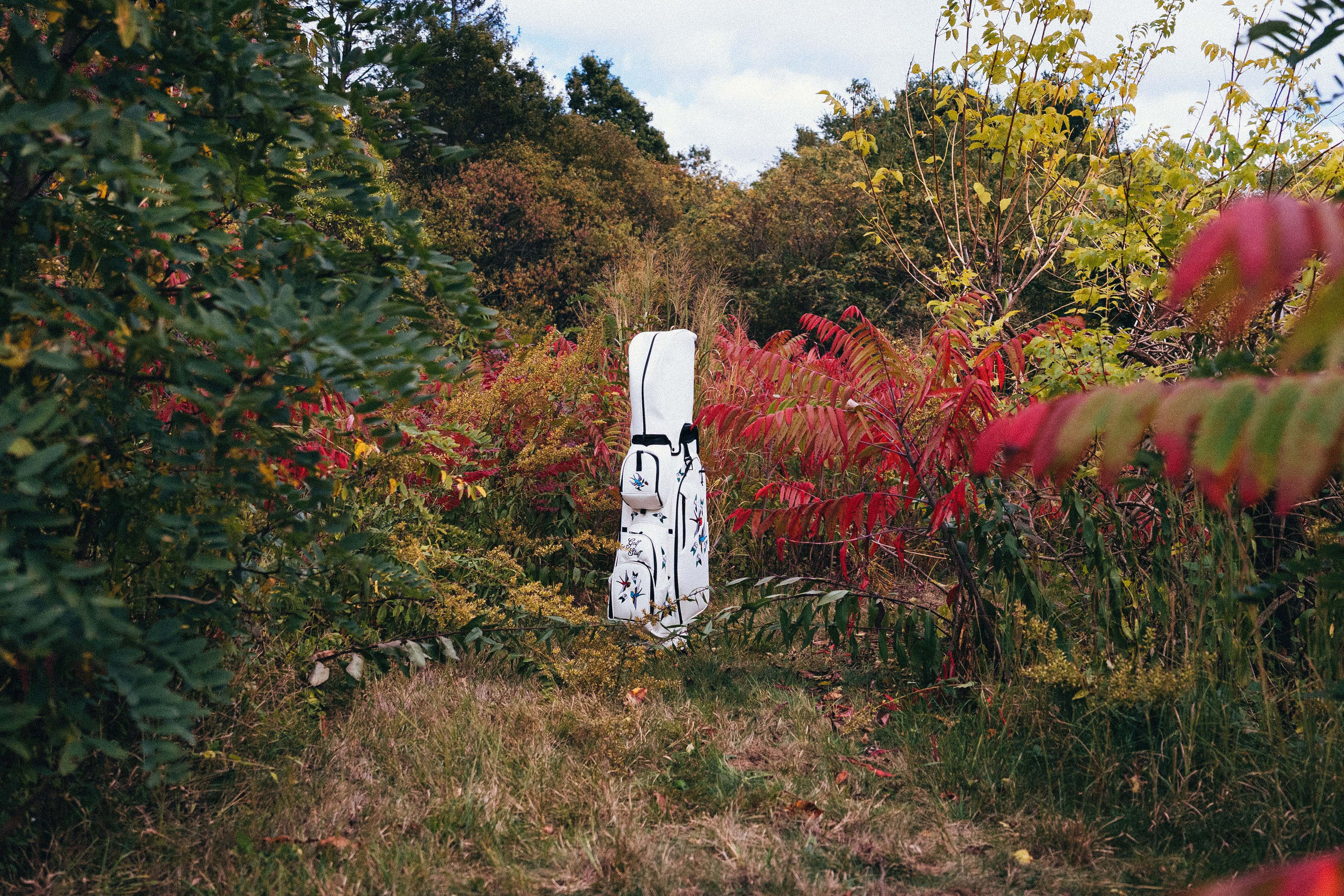 White guitar case standing amidst colorful autumn foliage.