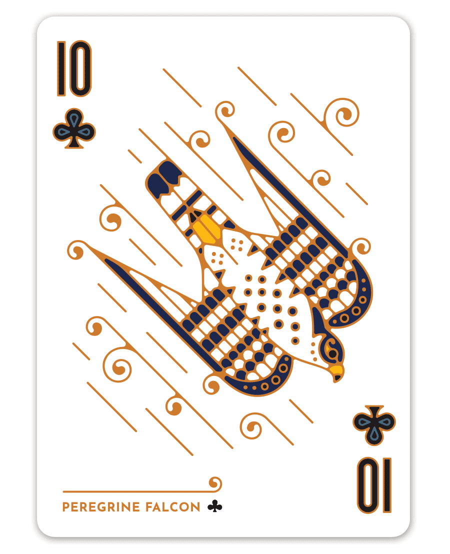 Illustrated playing card featuring a peregrine falcon with club symbols and number ten.
