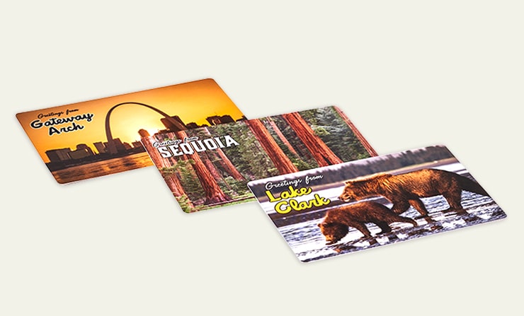 Three postcards featuring Gateway Arch, Sequoia trees, and bears at Lake Clark.