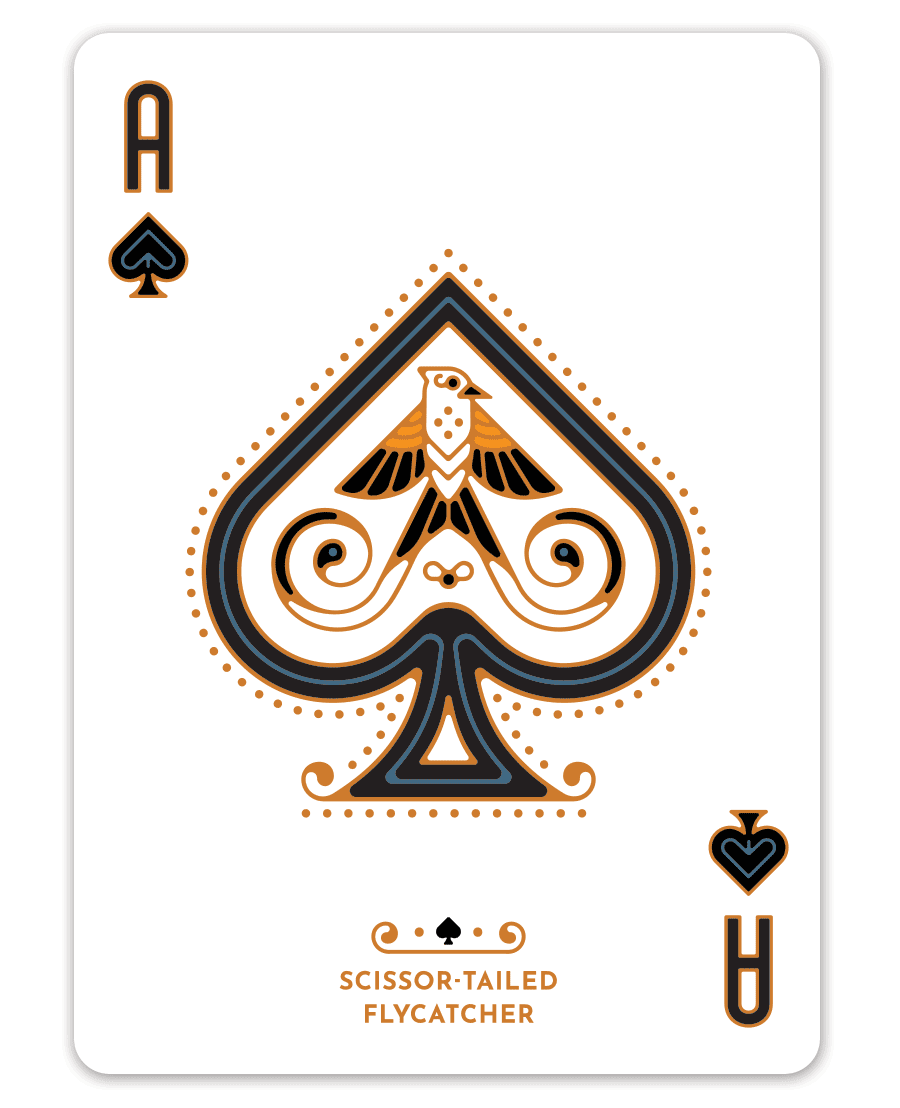 Ace of spades card featuring a stylized scissor-tailed flycatcher design.