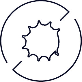 Winnow is chestnut free