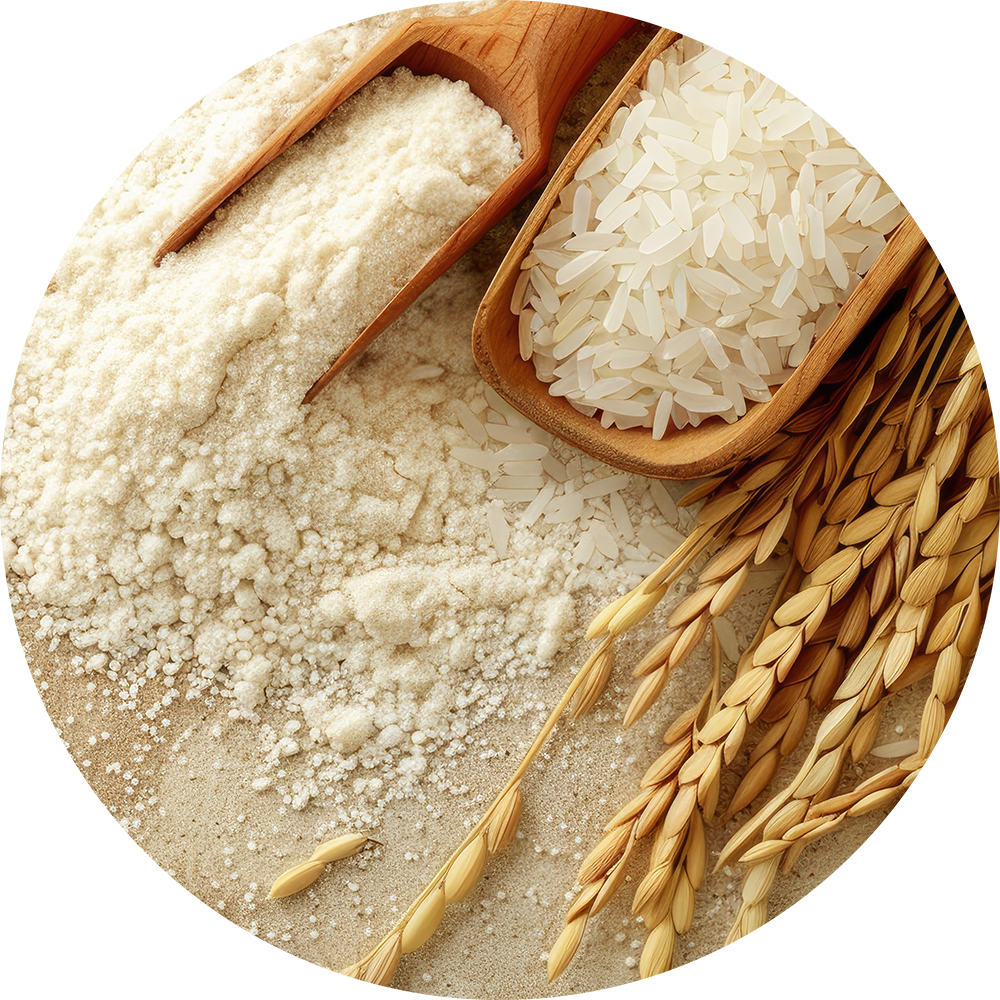 A picture of organic brown rice fiber, a prebiotic fiber in Winnow