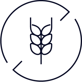 Winnow is gluten free