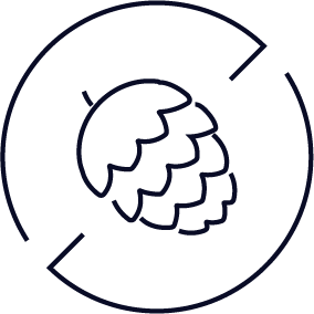 Winnow is pine nut free