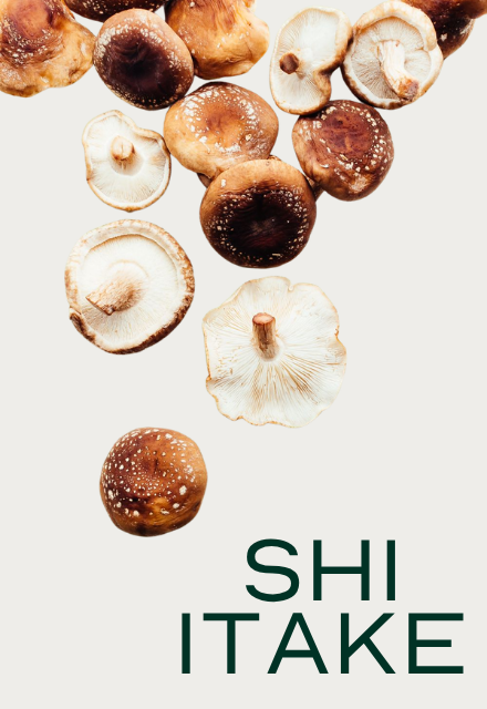 A collection of shiitake mushrooms on a light background with the word 'SHIITAKE' printed below.