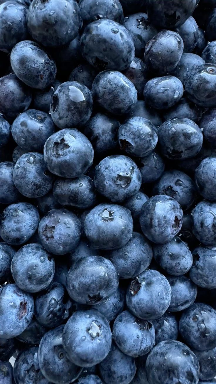 A close-up overhead shot of a pile of fresh blueberries covered in water droplets.
