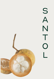 A whole and a halved santol fruit with white pulp, next to the word 'SANTOL' written vertically.