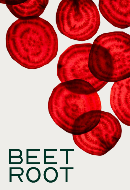 An illustration of several vibrant red beetroot slices on a light background with the text 'BEET ROOT'.