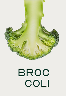 A cross-section of a broccoli floret above the word BROCCOLI in capital letters.