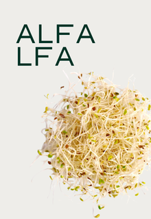 A pile of alfalfa sprouts with the word 'ALFALFA' in green text on a light background.