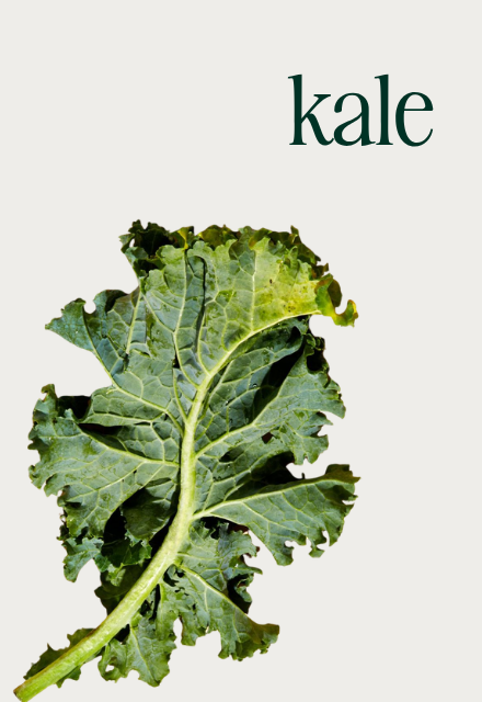 A single, fresh green kale leaf against a plain background with the word 'kale' typed above it.