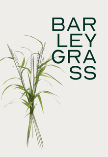 A bunch of barley grass stalks next to the vertically stacked words 'BARLEY GRASS'.
