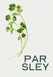 Several sprigs of fresh parsley are shown above the word 'PARSLEY' in a dark green font.
