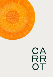 A cross-section of a carrot above the word CARROT, which is written vertically in green text.