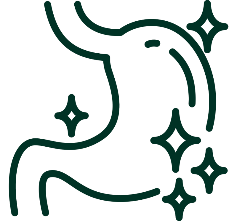A dark green line icon of a stomach surrounded by sparkles.