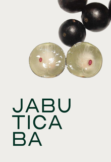 Whole and halved jabuticaba fruits with the word 'JABUTICABA' in large, dark text below them.