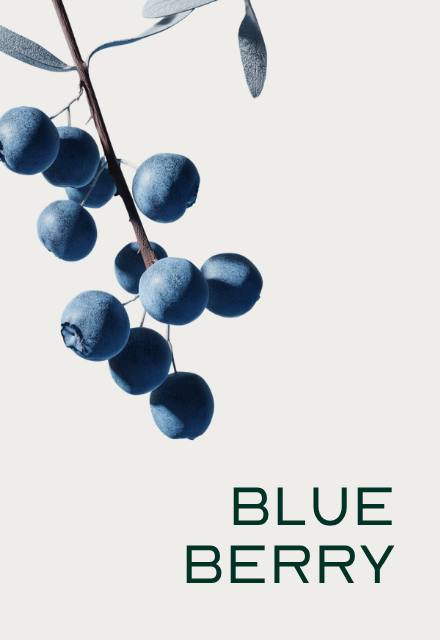 A close-up of a sprig of blueberries against a light background with the text 'BLUE BERRY'.