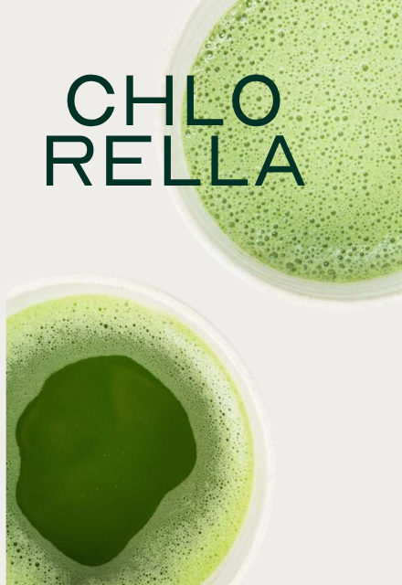 The word 'CHLORELLA' in dark green text over an image of two frothy green drinks.
