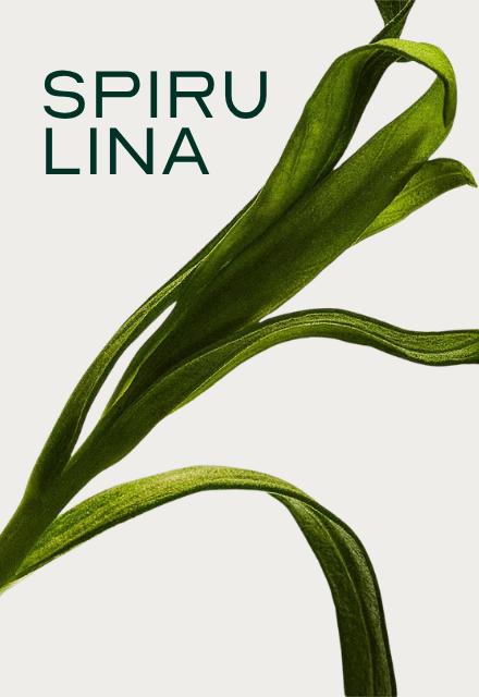 A close-up of green spirulina leaves against a white background with the text 'Spirulina' in the corner.