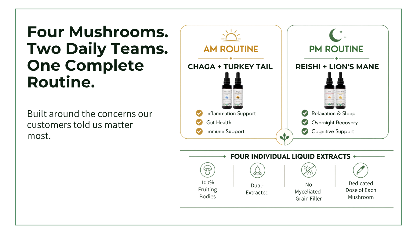 An infographic outlining a daily routine with four mushroom liquid extracts, split into AM and PM teams.