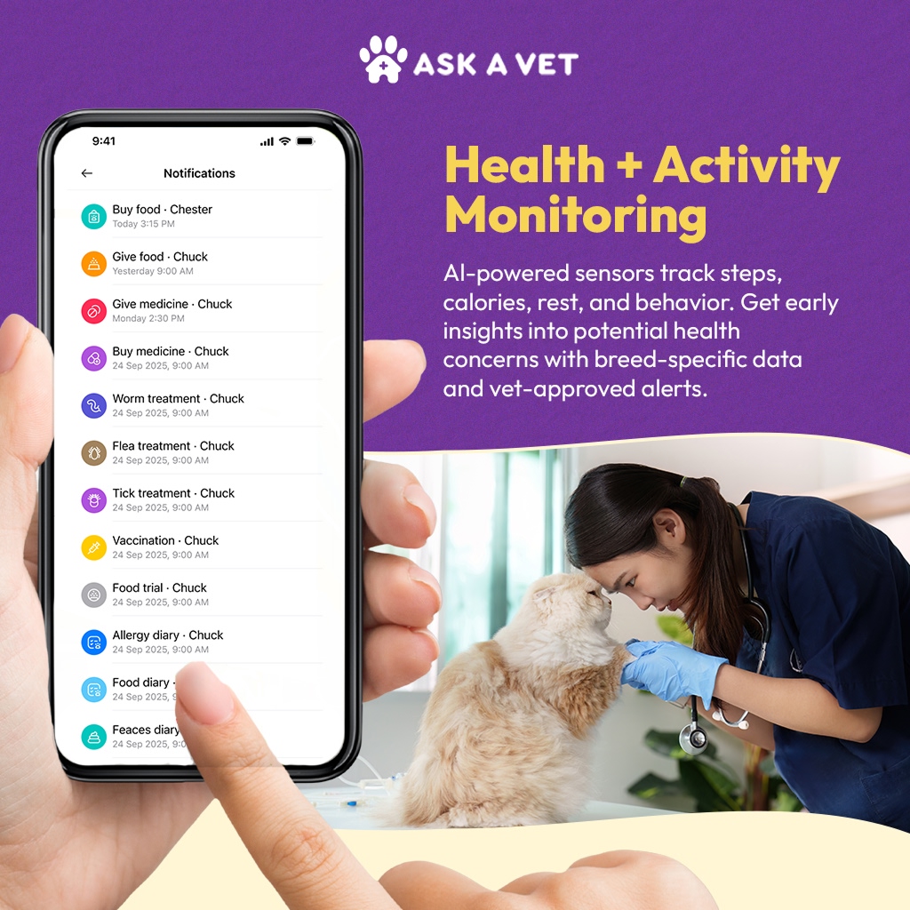 Hand holding smartphone with pet health notifications; vet examines cat on the side.