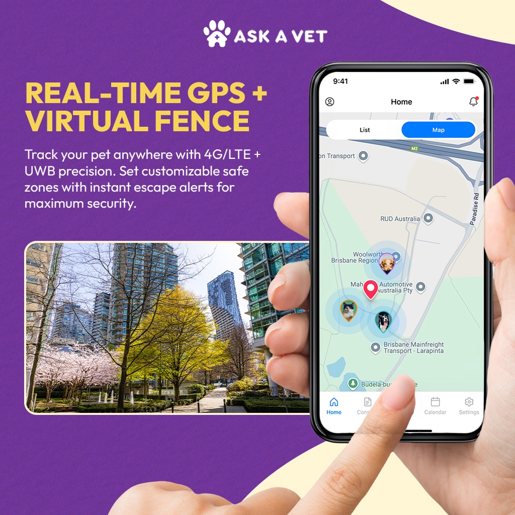 Smartphone showing a pet tracking app with a cityscape background.