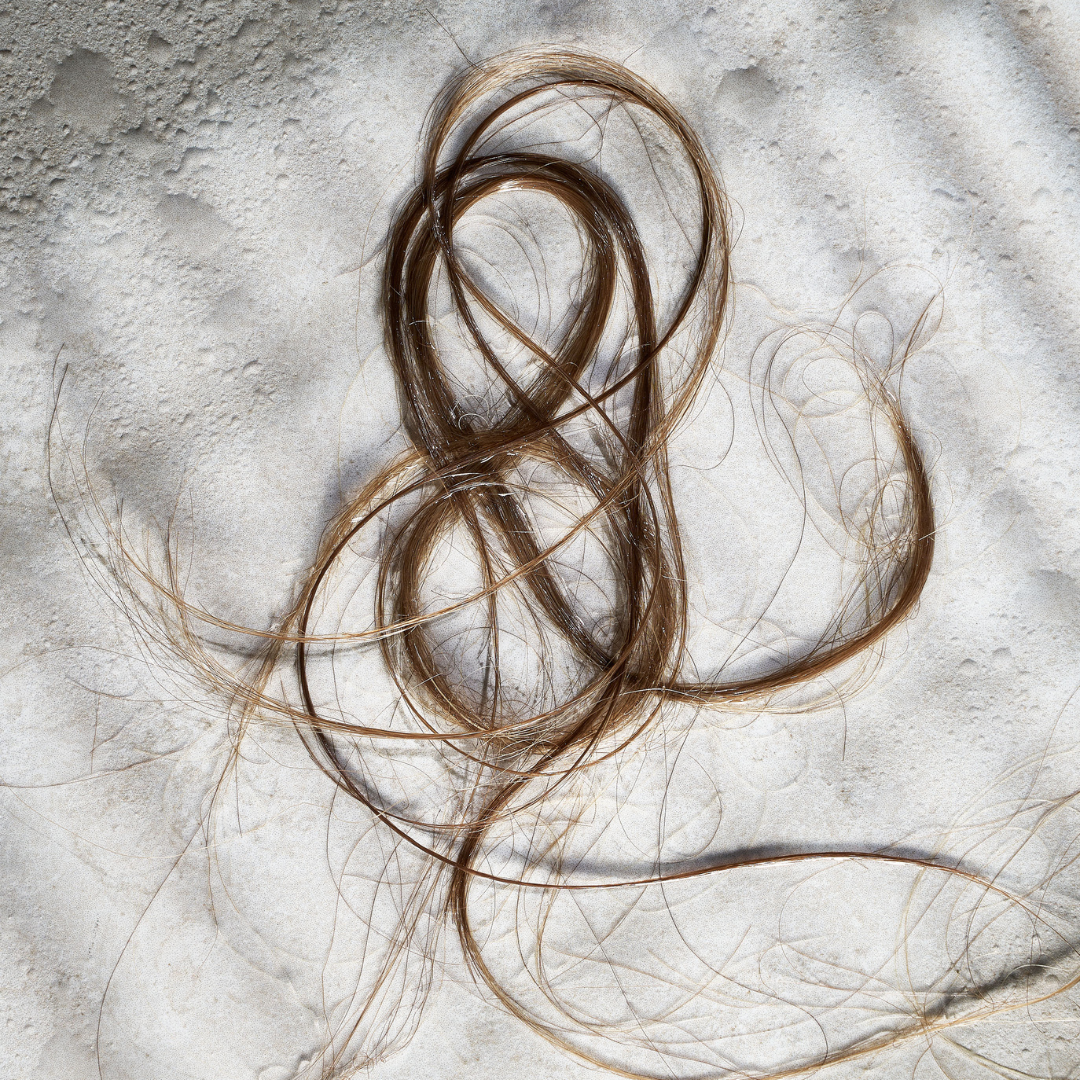 A lock of brown hair swirled in a figure-eight pattern on a textured, light-colored surface.