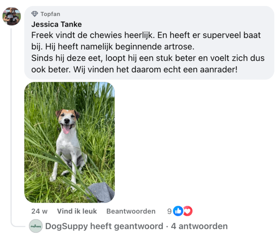 A happy dog sitting in tall grass with its tongue out.