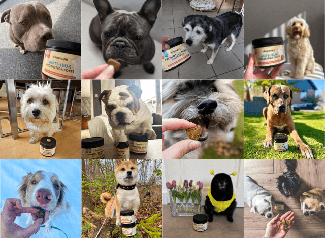 Collage of dogs with jars labeled 'Anti-Jeuk Probiotica Forte' and treats.